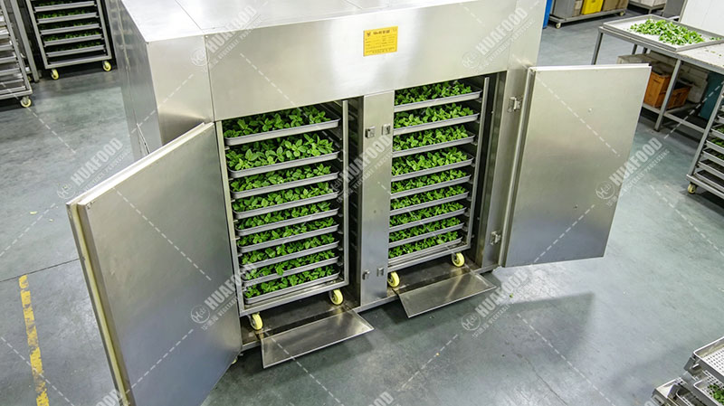 mint drying machine details