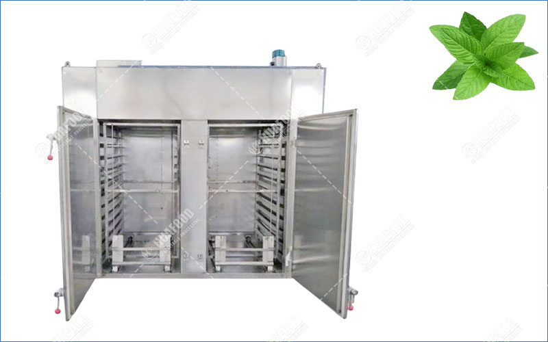 mint leaf drying machine