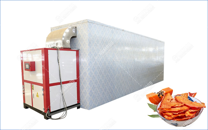papaya drying machine