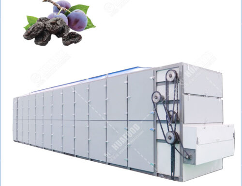 Large Capacity Prune Fruit Dryer With Mesh Belt Conveyor Support Custom