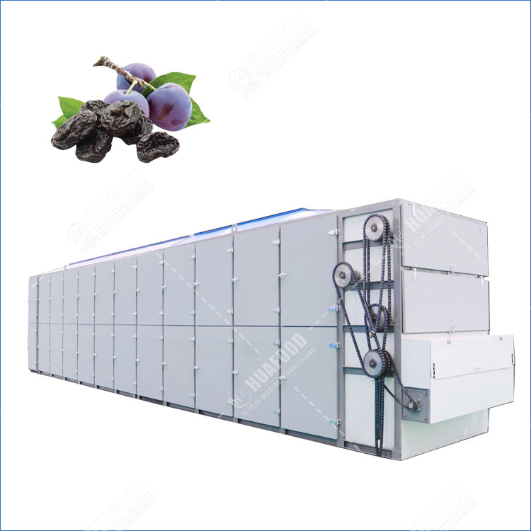 prune fruit dryer