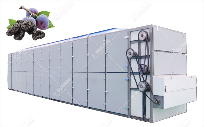 prune fruits dryer