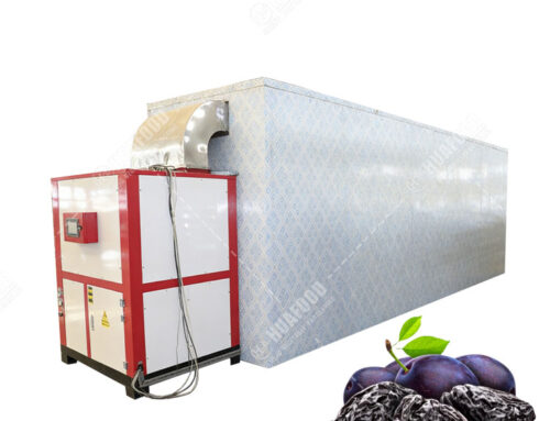High Efficiency Prunes  Heat Pump Dryer Machine Energy Saving