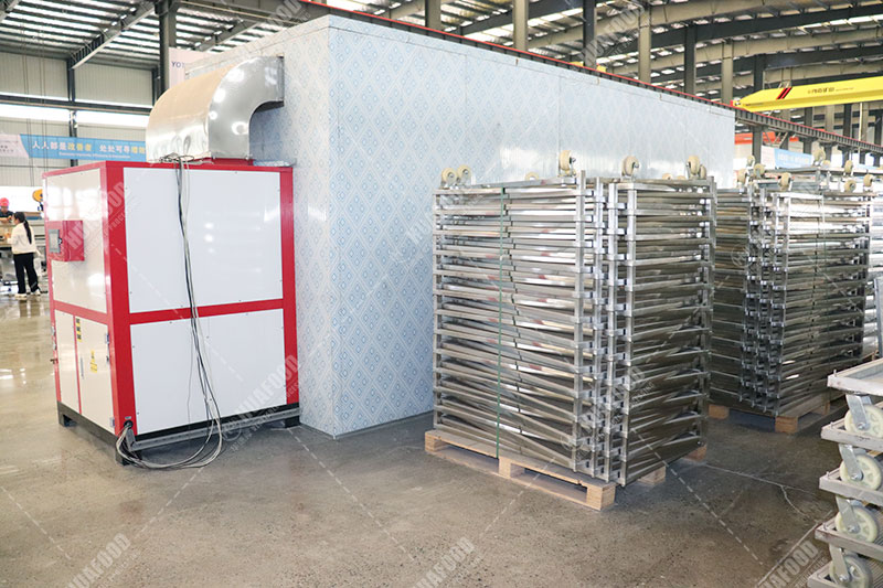 prunes drying machine details in factory