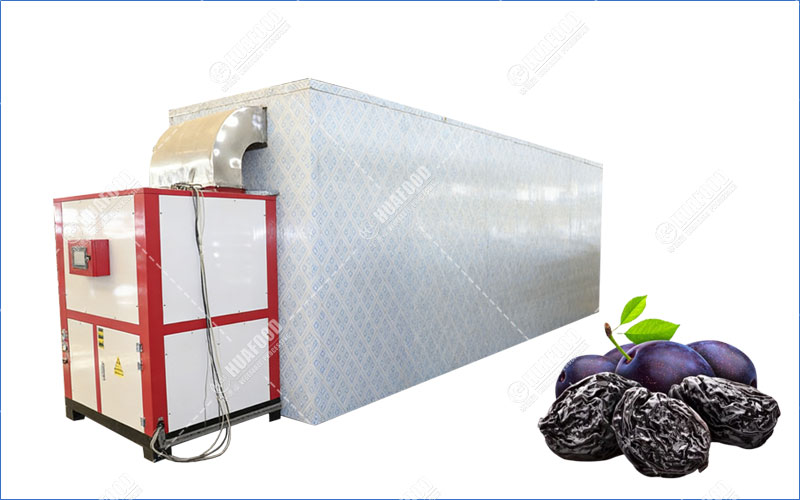 prunes drying machine