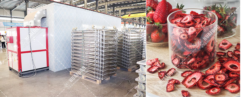 strawberry drying machine