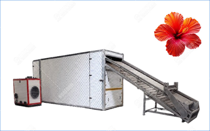 mesh belt dryer
