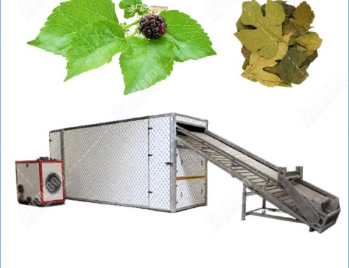 Continuous Mulberry Leaf Mesh Belt Dryer Machine for Herbs