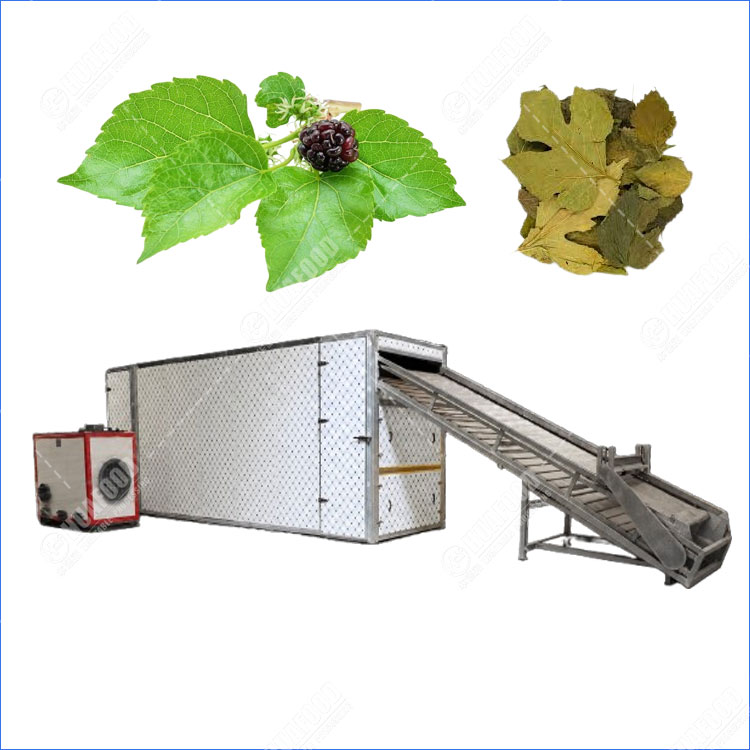 mulberry leaf dryer machine