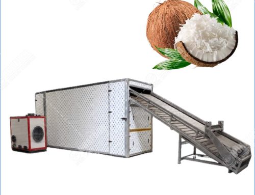 Continuous Shredded Coconut Meat Heat Pump Dryer Machine