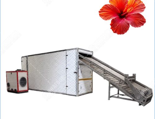 Continuous Mesh Belt Herbs Dryer for Sunset Hibiscus Flower Drying