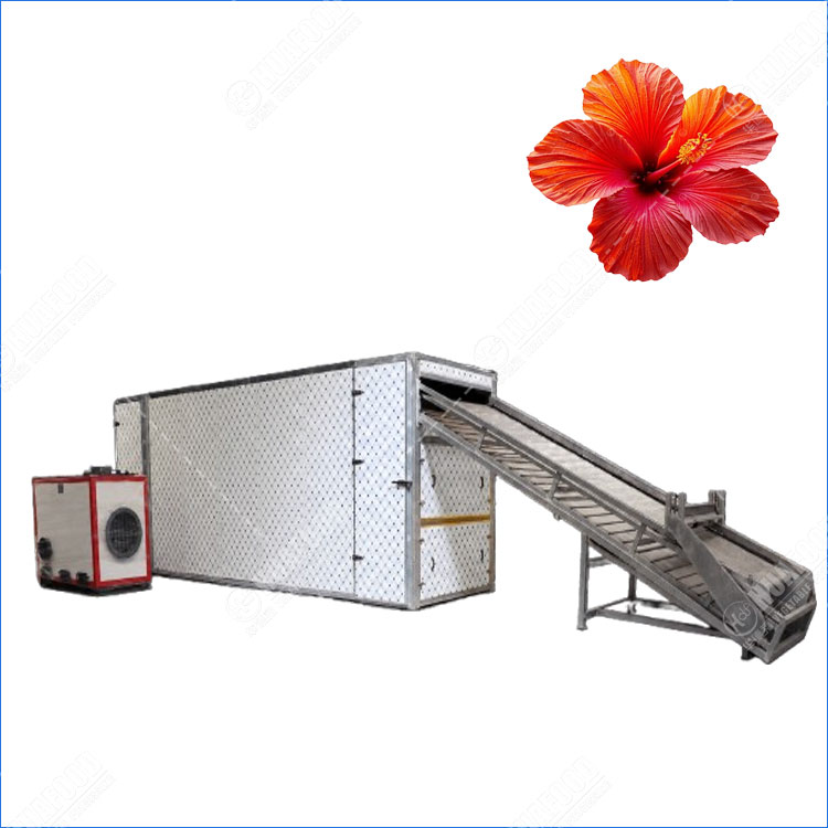 Sunset Hibiscus Flower drying machine
