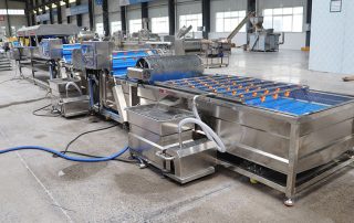 blueberry cleaning machine details