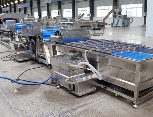 Blueberry Cleaning Machine: Gentle Bubble Washing for Delicate Berries