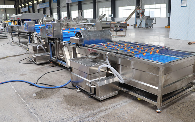 blueberry cleaning machine details