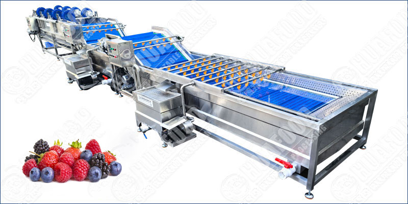 blueberry washing and drying machine