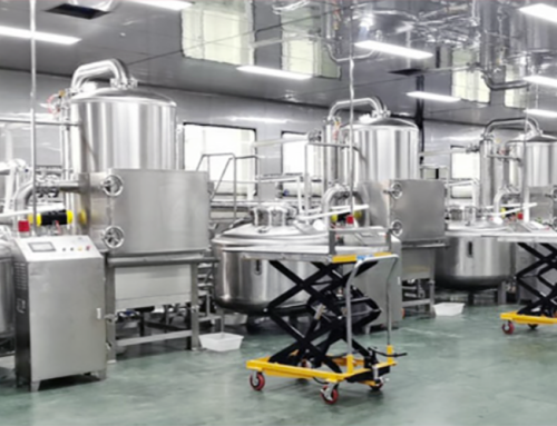Industrial Vacuum Fryer: Healthier Snack Production Guide