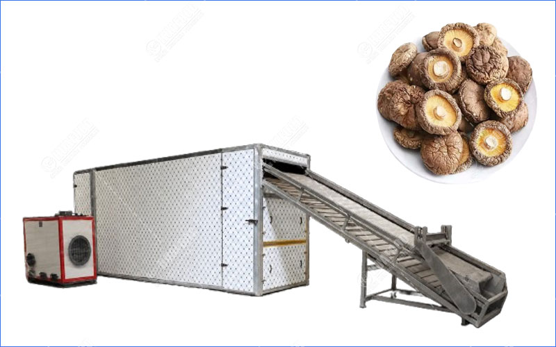 mushroom dehydrator machine