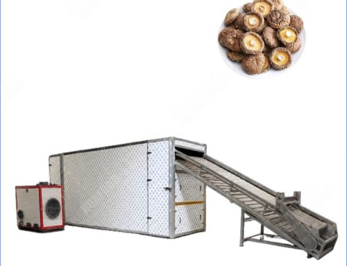 Industrial Mushroom Dehydrator Machine With Mesh Belt Dryer