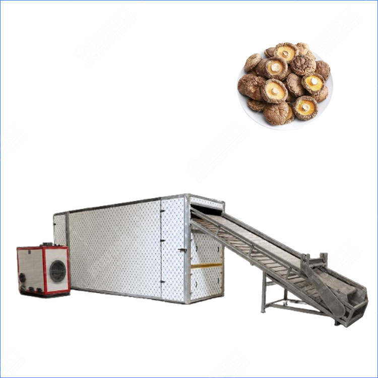 mushroom dehydrator machine