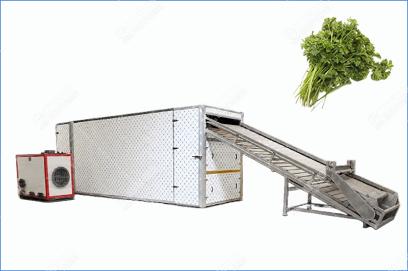 parsely drying machine