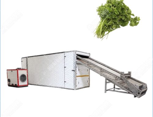 Industrial Parsley Mesh Belt Dryer Machine For Vegetable Dehydrating