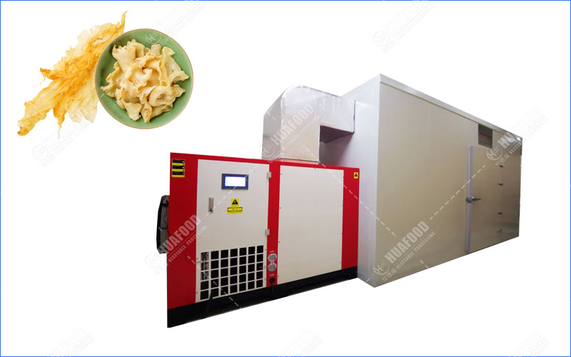 fish maw dryer machine